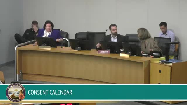 Council directs staff to compare bollards, decorative boulders and in‑road lighting after spike in late‑night roundabout crashes