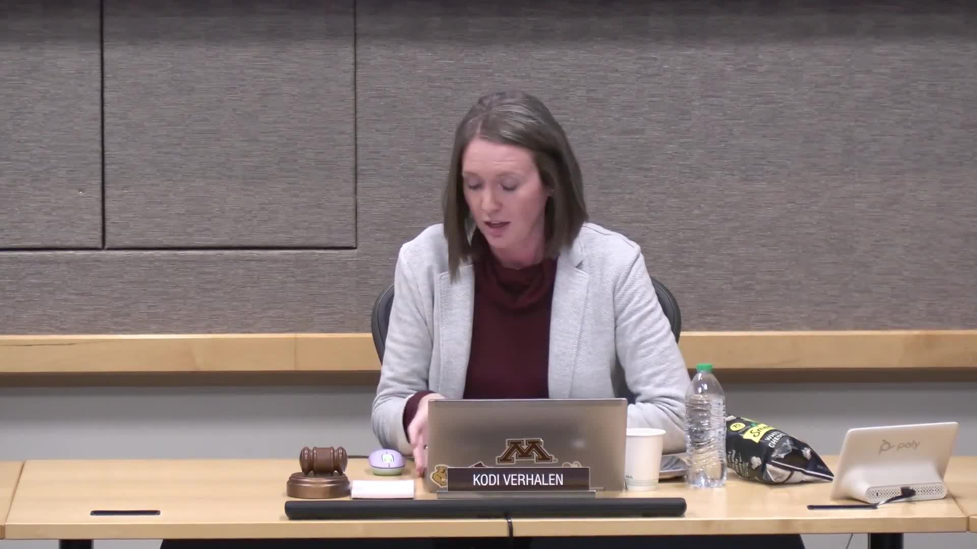Internal audit update: 15% remediation rate flagged; staff leaves may delay up to five FY26 audits
