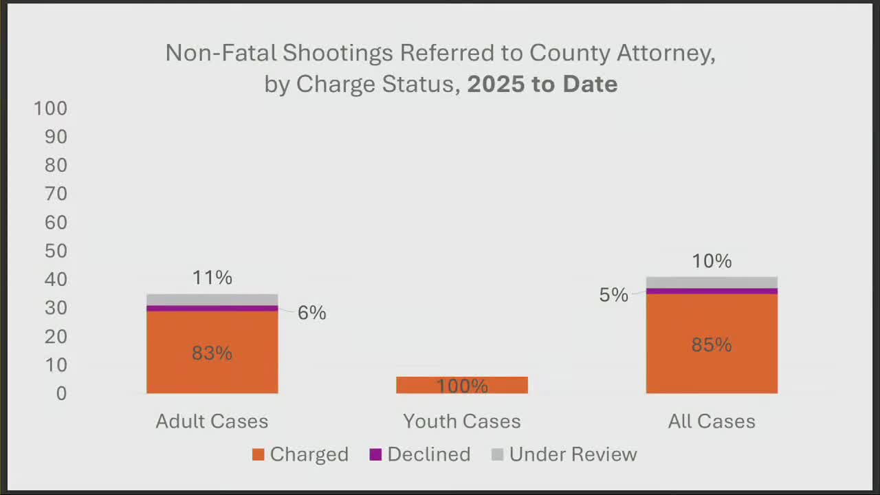 City report finds gaps in behavioral-health services; highlights voluntary engagement pilot and coordination opportunities with Hennepin County