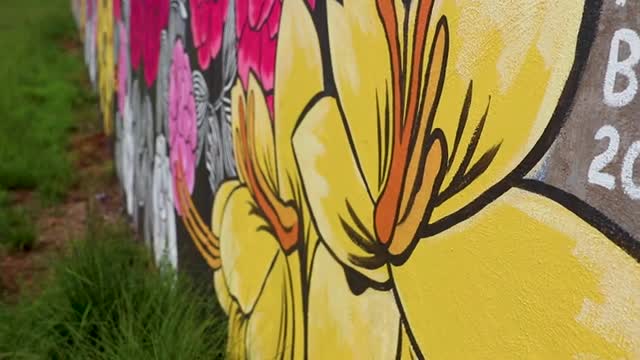 Local artist completes 100-foot ‘Georgia Flora’ mural beneath Athens Greenway Trail
