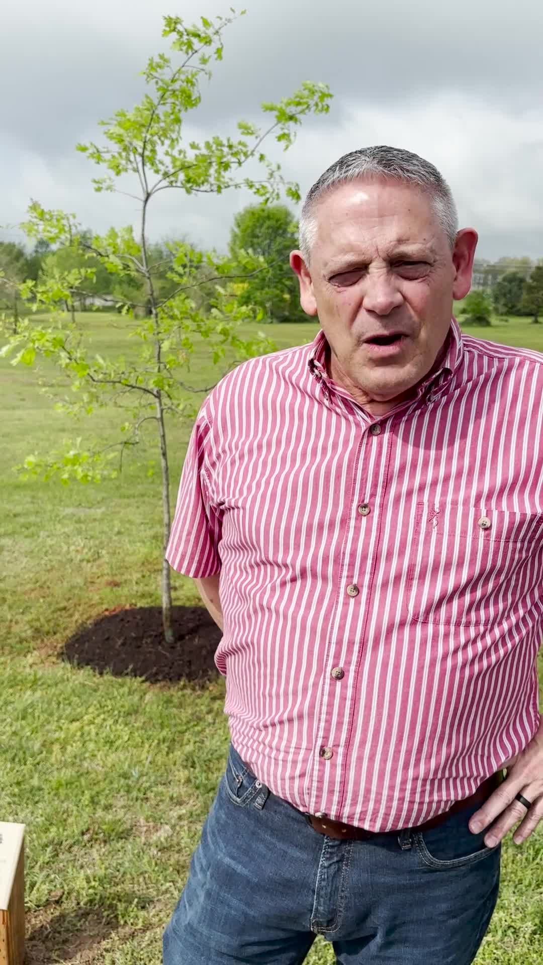 Nixa mayor issues Arbor Day proclamation; Shumard oak planted at Gardens of Woodfield