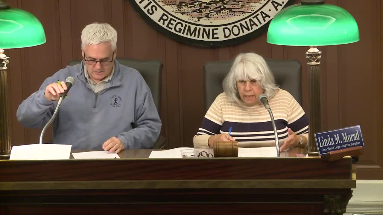 Council committee clears transfer to move police firewall subscriptions to MIS