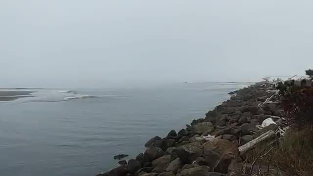 Observer reports channel at Ocean Shores Marina widening and deepening; small sand spit forming