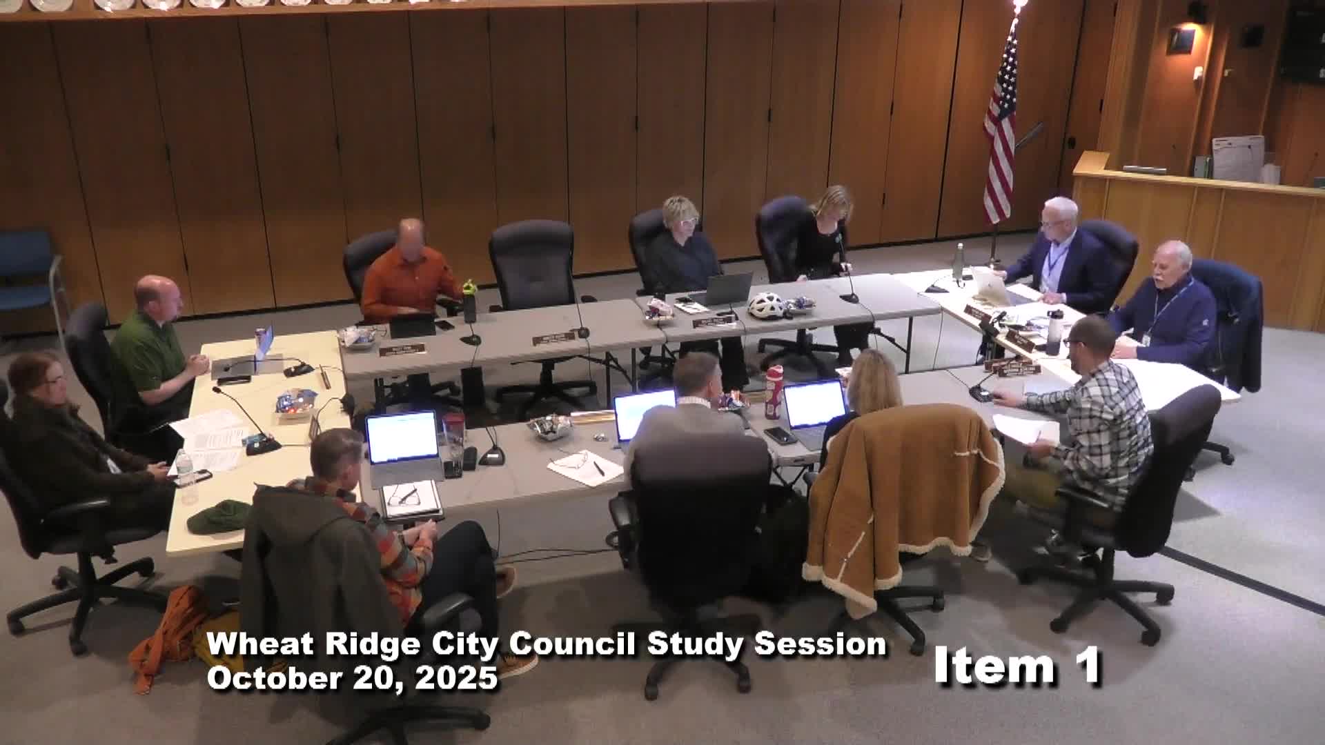Council agrees to pursue ordinance to reduce permanent utility markings, staff to draft language