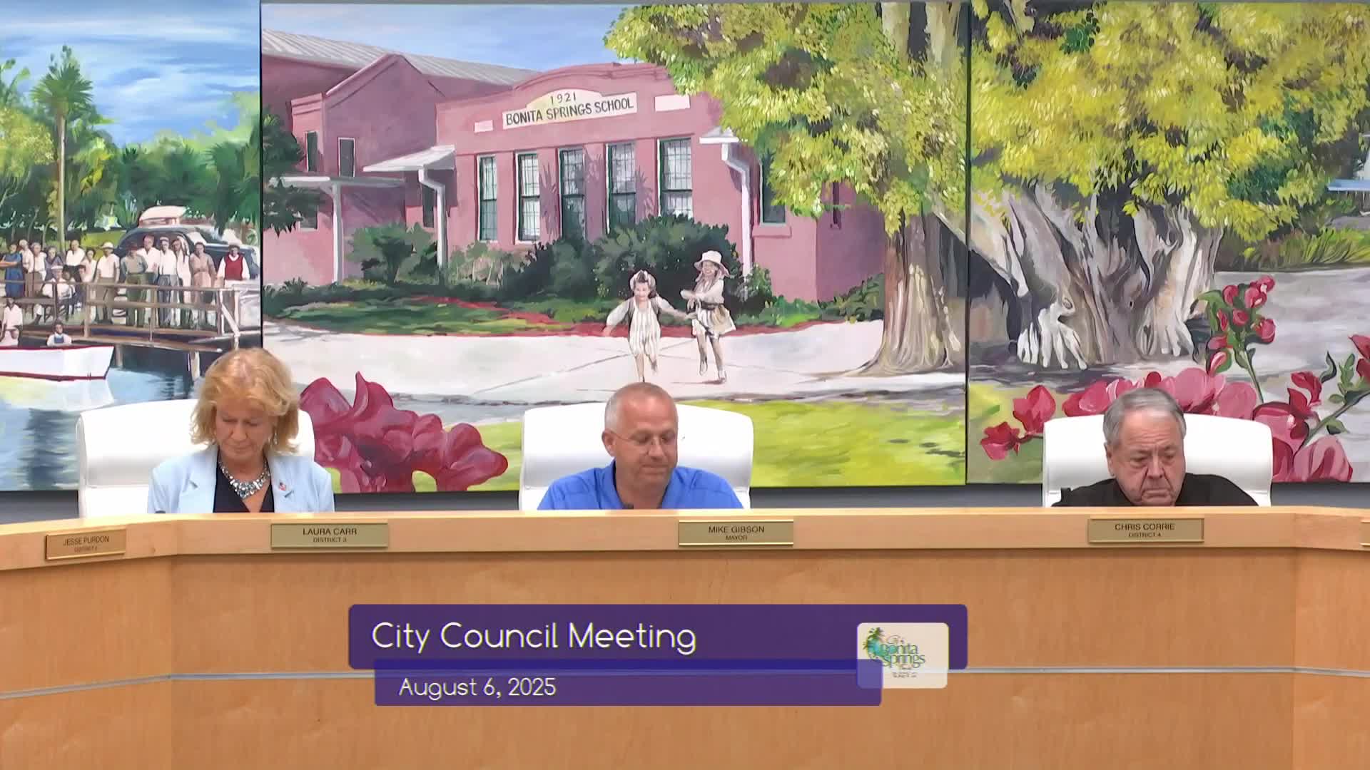 Council moves FPL franchise extension to second reading; clarifies city cannot set electric tariffs