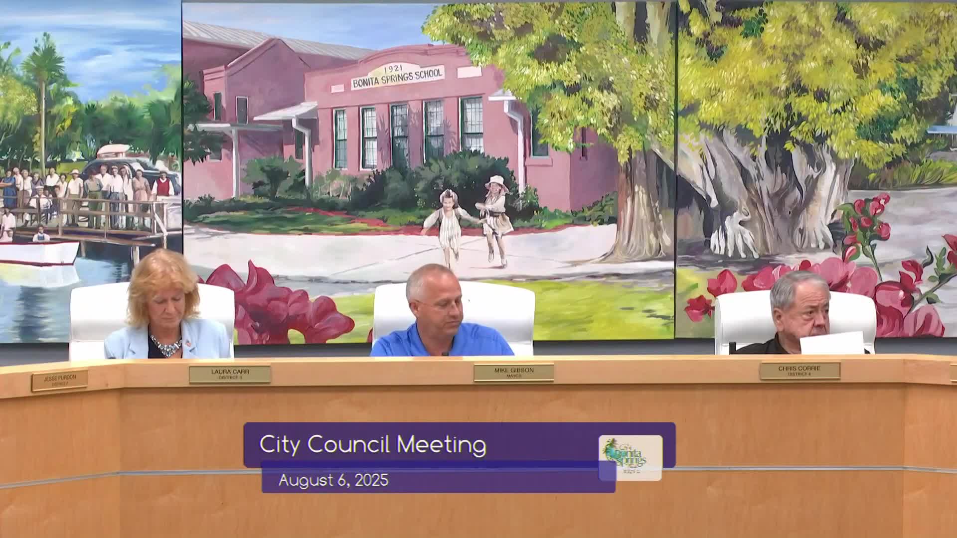 Council directs staff to research ownership, options to repair Kent Road serving YMCA and preserves