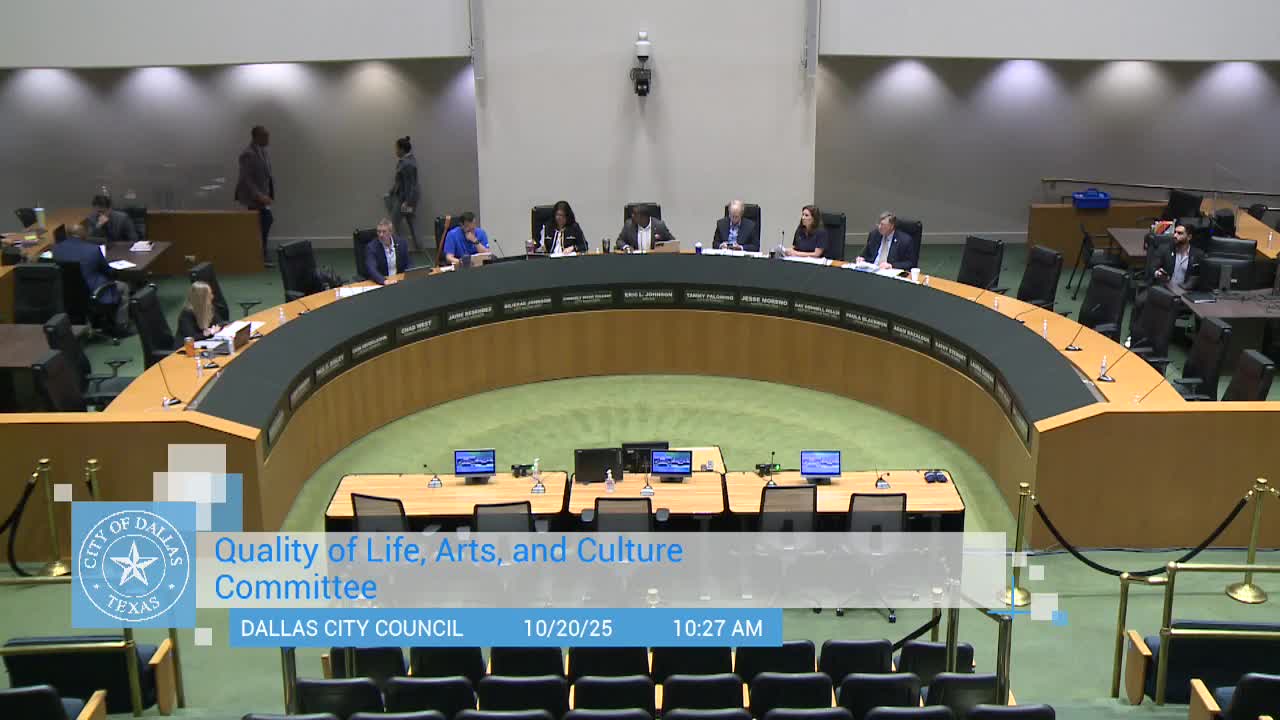 Dallas committee weighs code changes on noise, lighting and valet parking but keeps review at committee level