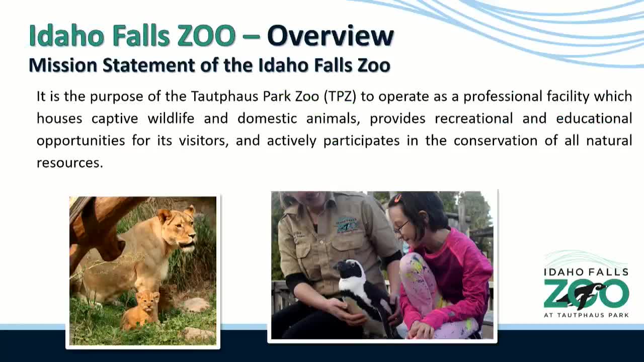 Zoo officials report $700K+ in off‑budget projects, outline capital plan and fundraising for new entrance