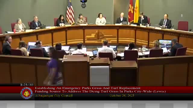 Council defers vote on emergency parks turf funding after parks director outlines winter plan