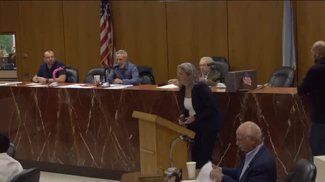 Council clears Bosnian monument; presenters request water connection and outline ADA access