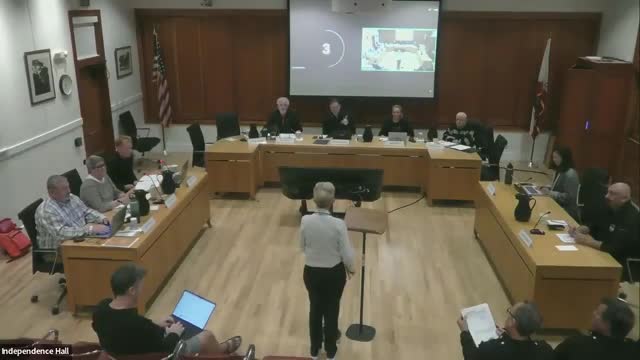 Residents ask Woodside council for crosswalk and lights on Canada Road near Runnymede