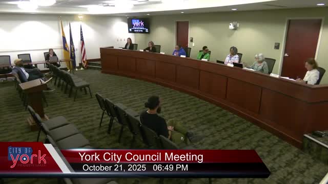 York City Council terminates probationary officer Steven Marte after arrest and PFA; city cites internal review