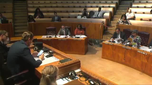 Council cites court ruling affirming its bond authority and asks staff to review 'authorized but unissued' bonds