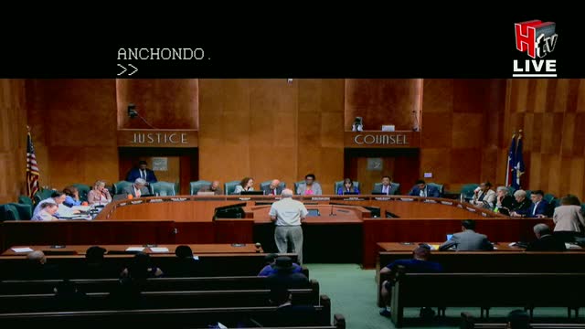 Houston council hears heated debate over proposed Emancipation Center at 419 Emancipation ahead of Wednesday vote