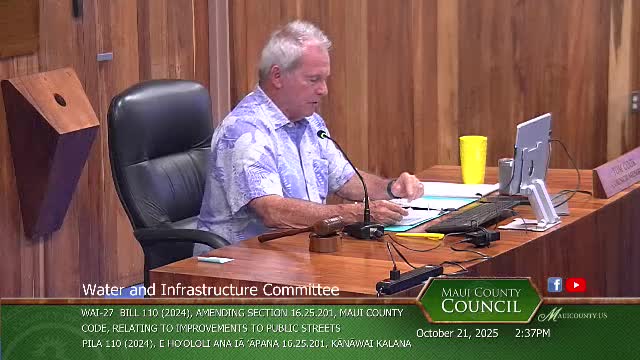 Committee allows replacement awnings, canopies over sidewalks in disaster-affected areas