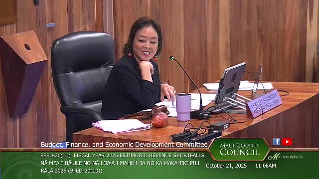 Finance and departments brief committee on FY25 estimated revenue shortfalls; GASB 101 and delinquent sewer accounts cited