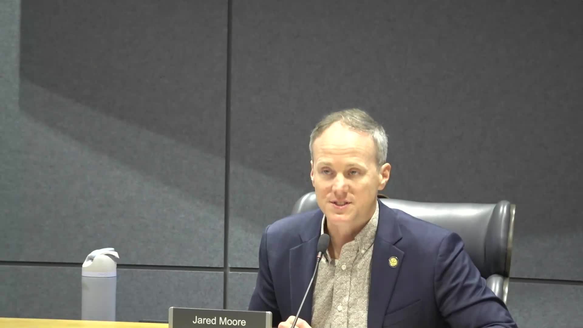 Council appoints two to Zoning Board, six to Westside CRA board