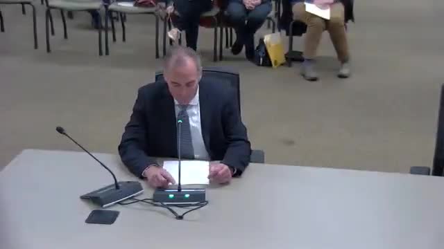 Residents, lake groups urge council to pause St. John’s Bay pier plan, propose kayak launch alternative