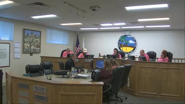 Planning commission approves 30‑unit Amboy Resort CUP after applicant and staff agree edits