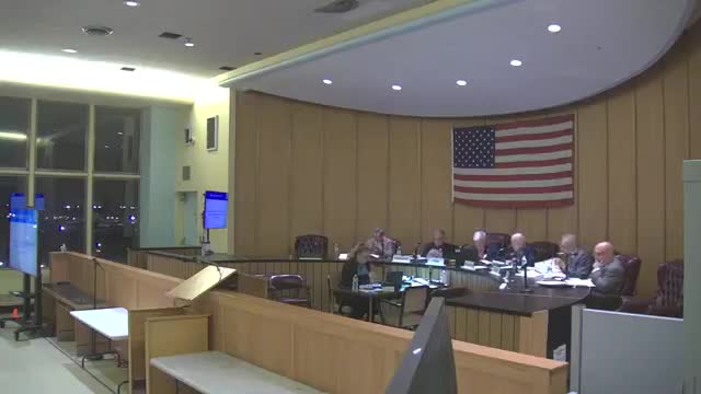 Council approves software renewal and accepts $49,000 cybersecurity-audit grant; staff say audit complements email protection