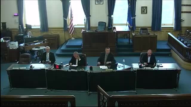 Public commenter tells Storey County BLM review of Greenlink could affect regional development