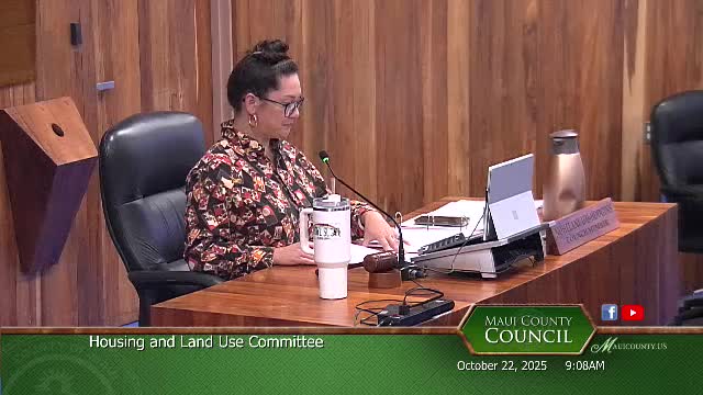 Maui TIG recommends two new hotel-style zoning categories, urges council-initiated rezoning of select short‑term rentals; public testimony split