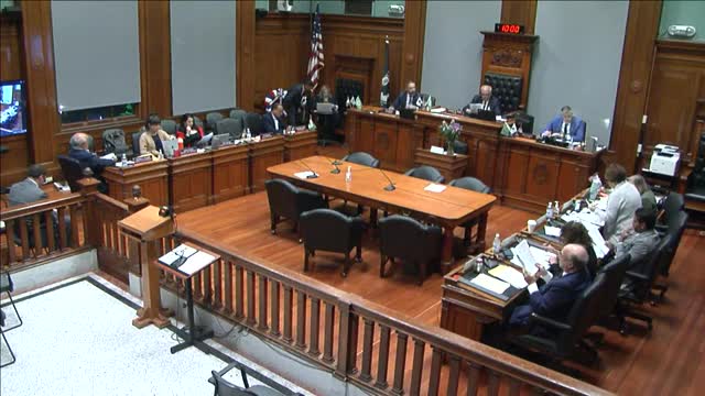 Council hears complaints about 40 Hooper Street construction and private road conditions