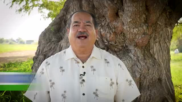 McAllen speaker highlights Montezuma cypress for Native Plant Month