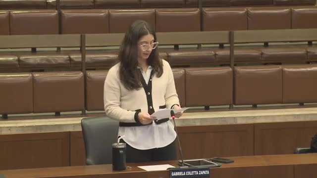 Council orders hearing on automated traffic enforcement as members call for tools to improve street safety