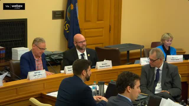 Supporters urge protection for low-impact home-based businesses; opponents ask for narrow clarifications