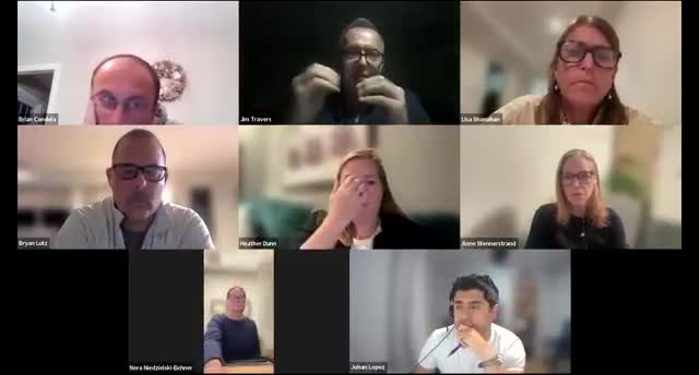 Committee approves public hearing for school bus photo‑enforcement ordinance; cameras to target illegal passing of stopped buses