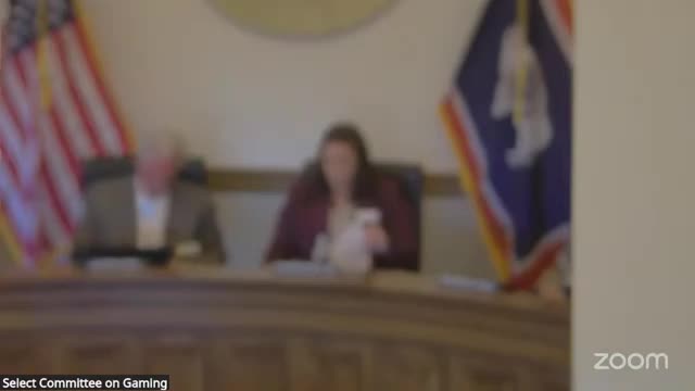 Select Committee on Gaming tables proposed three‑year moratorium on new simulcasting permits