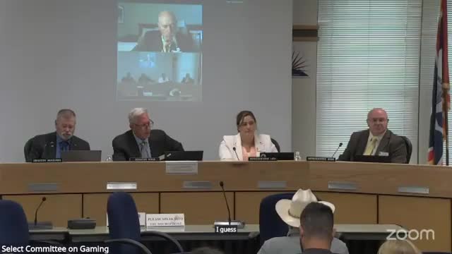 Committee asks LSO to research public‑notice language after concern about newspapers of record