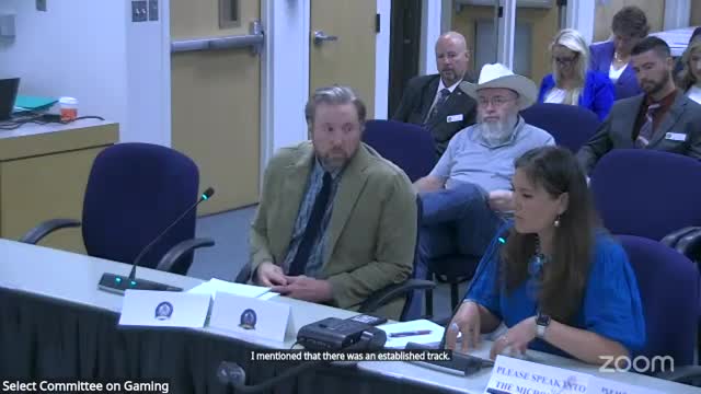 Task force backs development of anti‑money‑laundering language; seeks LSO/Gaming Commission collaboration