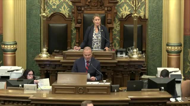 House adopts resolution recognizing Pregnancy and Infant Loss Remembrance Day after emotional testimony