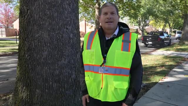Livonia to use precision cutting, $55,000 in Section 3 to reduce sidewalk trip hazards