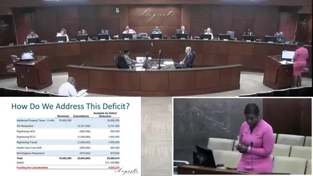 Commission hears calls for tighter oversight of nonprofit contracts, KPIs and contract renegotiations