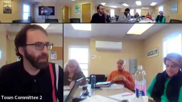 Council discusses needs-assessment survey outreach, QR codes and multilingual materials