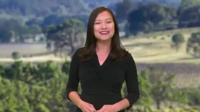 Napa County declares local emergency after Pickett Fire scorches about 6,800 acres