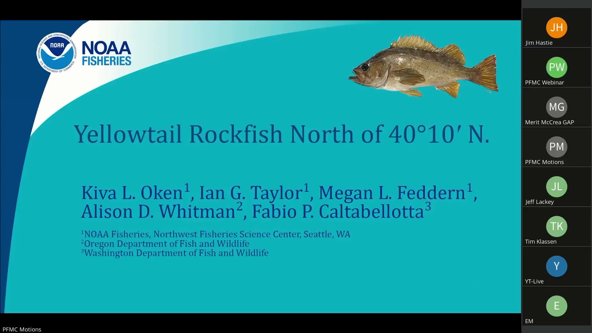 Yellowtail rockfish benchmark: scientists say stock healthy but revised age-weighting and new indices lower catch limits