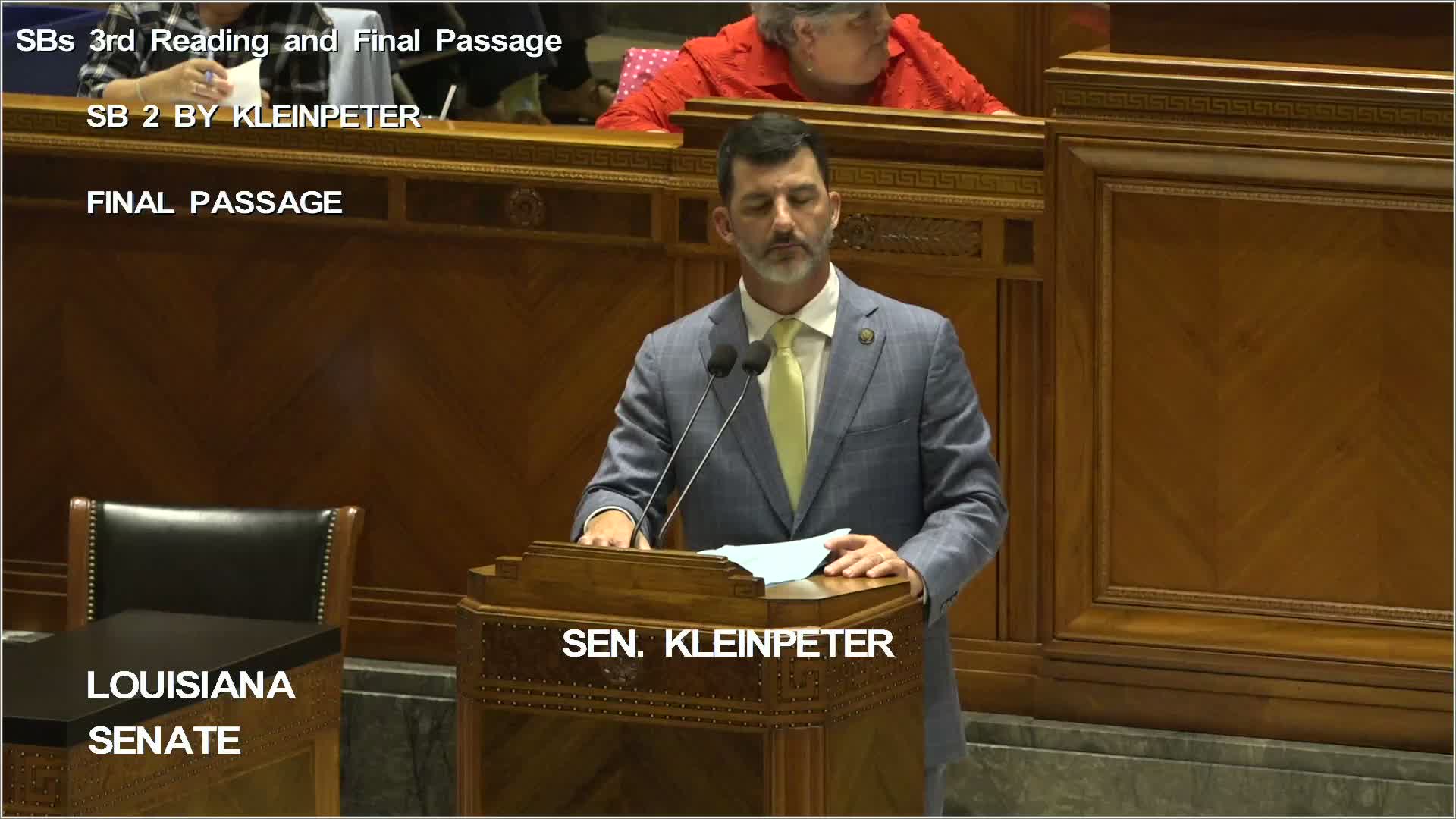 Senate passes companion bill setting special election date for constitutional amendments; opponents cite procedural and constitutional concerns