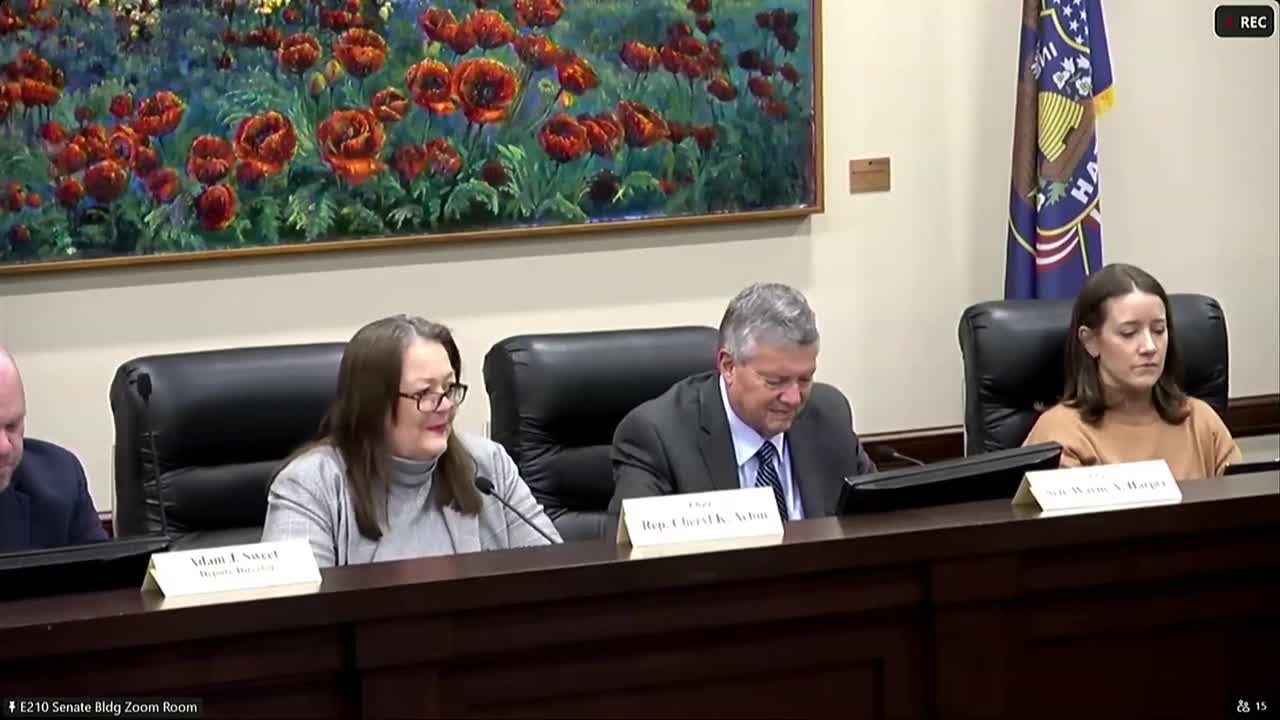 Interim Medicaid inspector general briefs committee; auditors' report spurs governance questions