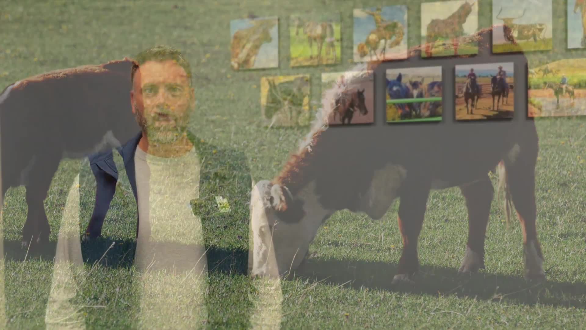 Utah Department of Agriculture outlines inspection and labeling rules for meat sales