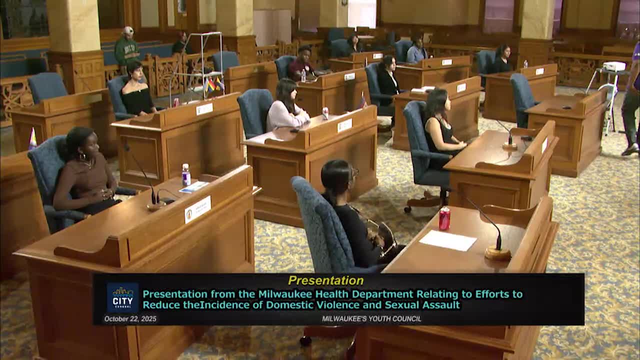 Milwaukee health department briefs Youth Council on domestic violence prevention, local trends