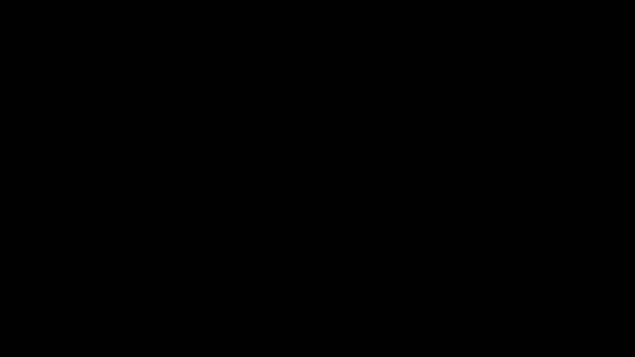 Elections Commission votes 4-1 to accept contested letter into public record