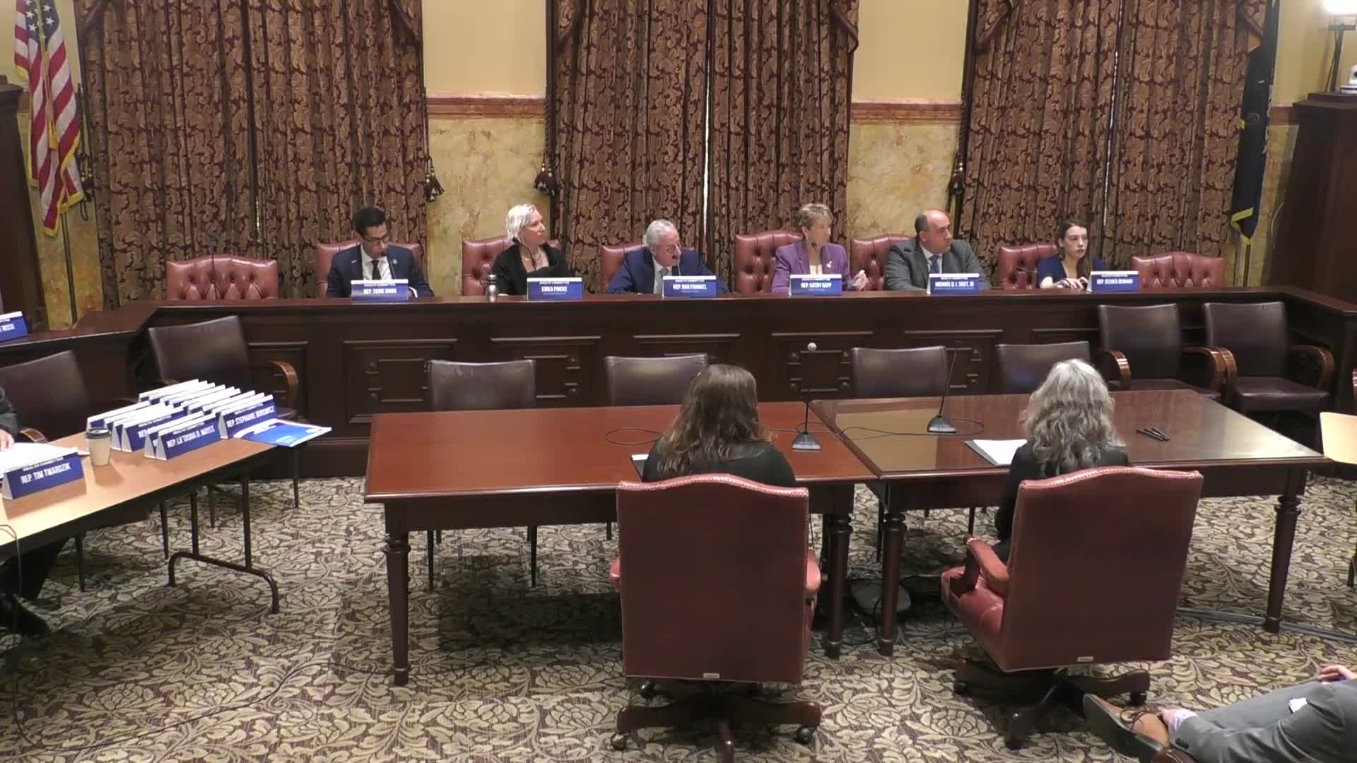 Panel and health officials defend technical-advisory path for adding newborn screens