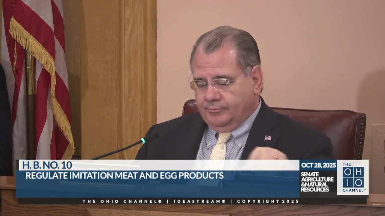 Committee advances Substitute House Bill 10 to rules after accepting two amendments