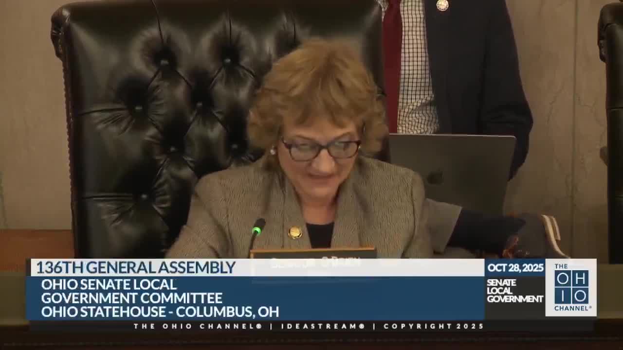 Senate committee hears bill to cap inside-millage increases for all local governments under House Bill 335