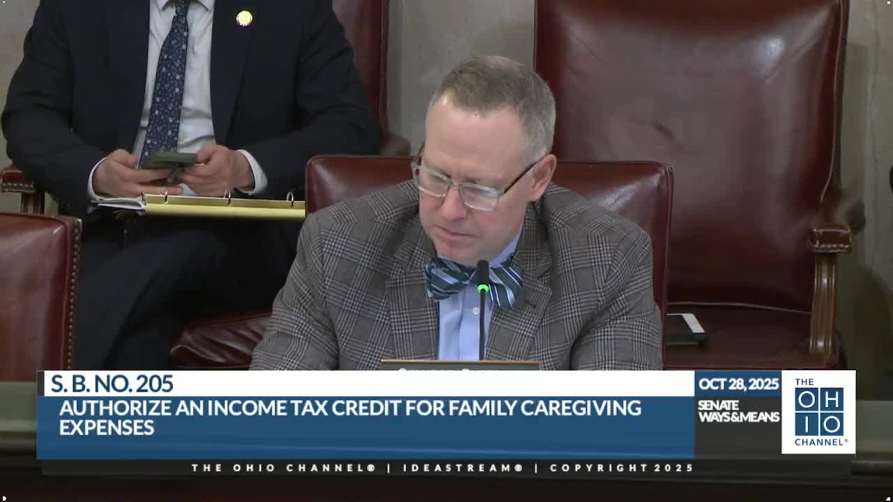 Senate reviews Kinship Care Tax Credit to help family caregivers
