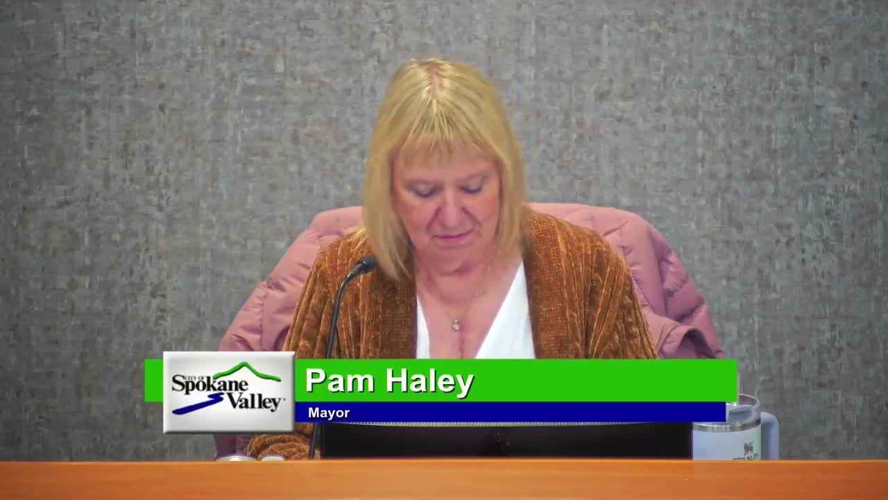 Council advances 2025 budget amendment first reading after public hearing on bridge monitoring